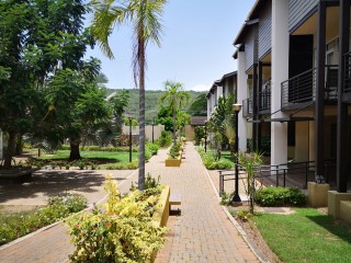 Apartment For Rent in Kingston 6, Kingston / St. Andrew Jamaica | [1]