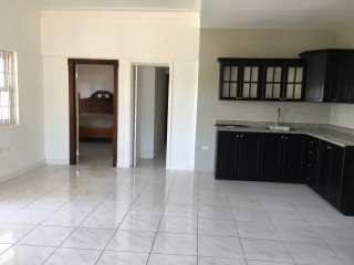 Apartment For Rent in New Kingston, Kingston / St. Andrew Jamaica | [4]