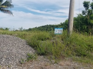 Residential lot For Sale in Norwich, Portland, Jamaica