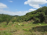 Commercial/farm land For Sale in Hatfield, Manchester Jamaica | [4]