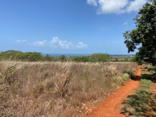 Residential lot For Sale in Treasure Beach, St. Elizabeth, Jamaica