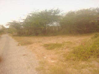 Land For Sale in May Pen, Clarendon Jamaica | [1]