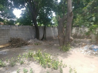 House For Rent in Washington Gardens, Kingston / St. Andrew Jamaica | [9]