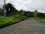 Residential lot For Sale in WhiteHall, St. Mary Jamaica | [3]