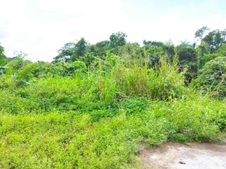 Land For Sale in Linstead, St. Catherine, Jamaica