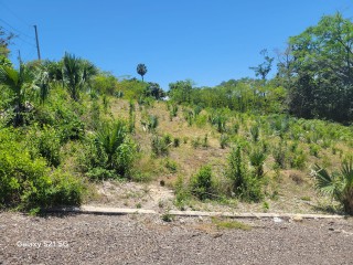 Residential lot For Sale in Culloden, Westmoreland Jamaica | [3]