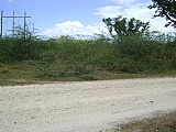 Commercial/farm land For Sale in Hartland, St. Catherine Jamaica | [7]