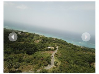 Land For Sale in Whitehouse, Westmoreland, Jamaica