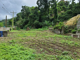 Land For Sale in Cedar Valley  St Thomas, St. Thomas Jamaica | [7]