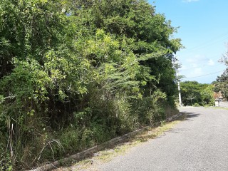 Residential lot For Sale in Cardiff Hall, St. Ann Jamaica | [5]