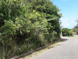 Residential lot For Sale in Cardiff Hall, St. Ann, Jamaica