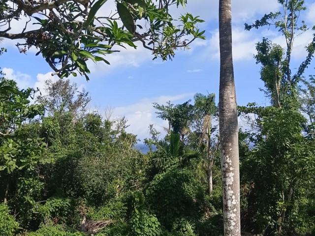 Residential lot For Sale in Great River, St. James Jamaica | [4]
