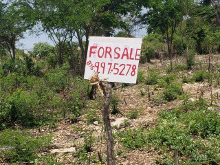 Residential lot For Sale in Ironshore, St. James Jamaica | [4]