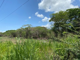 Residential lot For Sale in Bushy Park, St. Catherine, Jamaica