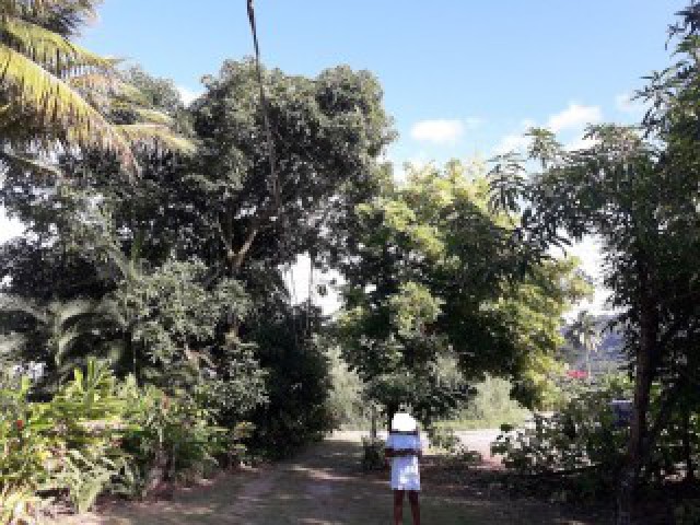 House For Sale in Hope Bay, Portland Jamaica | [4]