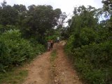 Commercial/farm land For Sale in Boscobel, St. Mary Jamaica | [3]