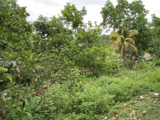 House For Sale in Dawkins District Mocho, Clarendon Jamaica | [6]