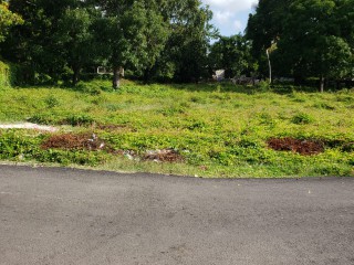 Land For Sale in Lionel town, Clarendon Jamaica | [2]