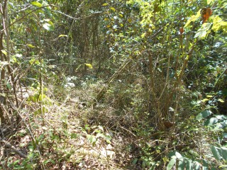 Residential lot For Sale in Eldarado, St. Catherine Jamaica | [4]