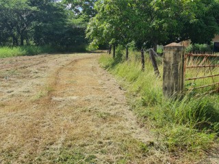 Land For Sale in Toll Gate, Clarendon Jamaica | [2]