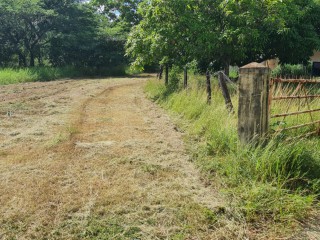 Land For Sale in Toll Gate, Clarendon, Jamaica