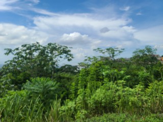 Residential lot For Sale in Chancery Hall, Kingston / St. Andrew Jamaica | [4]