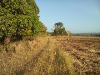 Land For Sale in Toll Gate, Clarendon, Jamaica