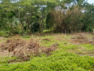 Residential lot For Sale in Hope Bay, Portland Jamaica | [2]