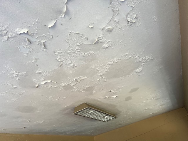 House For Sale in Liguanea, Kingston / St. Andrew Jamaica | [4]