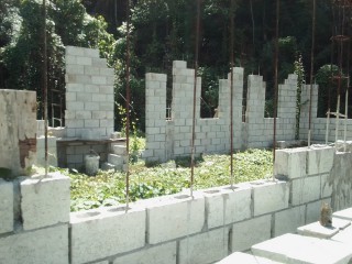 Land For Sale – Bunkers, Trelawny, Jamaica