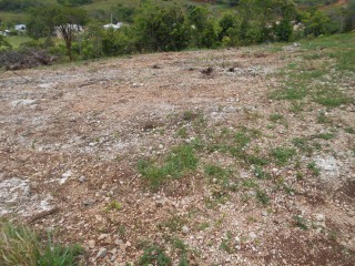 Land For Sale in Wigton, Manchester, Jamaica