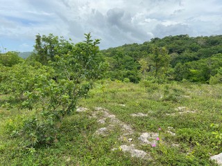 Residential lot For Sale in Runaway Bay, St. Ann Jamaica | [8]