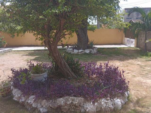 Flat For Rent in Vineyard Town, Kingston / St. Andrew Jamaica | [6]