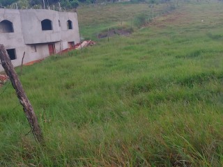 Residential lot For Sale in Knockpatric Mandeville, Manchester, Jamaica