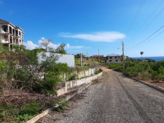 Residential lot For Sale in Whitehouse, Westmoreland Jamaica | [1]
