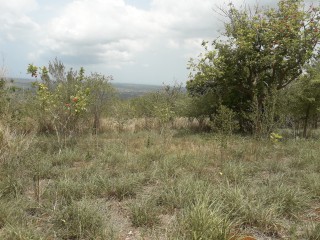Residential lot For Sale in Burnt Ground, St. Elizabeth Jamaica | [1]