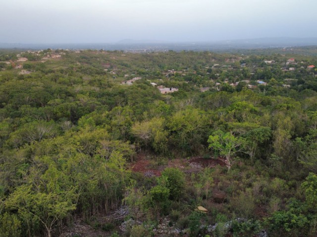 Development Land (Residential) For Sale in Kitson Town, St. Catherine Jamaica | [5]