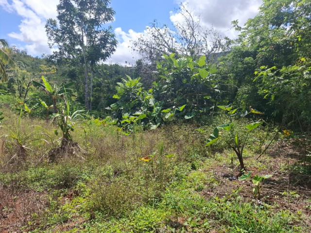 House For Sale in Claremont, St. Ann Jamaica | [10]