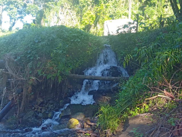 Commercial/farm land For Sale in Rock River, Clarendon Jamaica | [8]