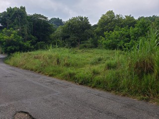 Commercial/farm land For Sale in Watermount, St. Catherine Jamaica | [2]