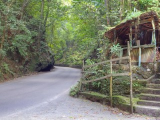 Land For Sale in Jackson Heights, St. Ann Jamaica | [12]