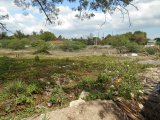 Commercial/farm land For Sale in Leiba Gardens Spanish Town, St. Catherine Jamaica | [1]