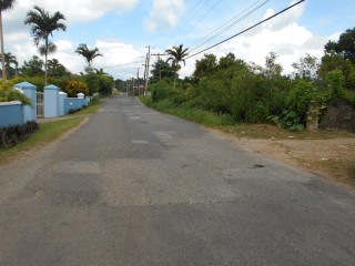 Land For Sale in Mandeville, Manchester, Jamaica