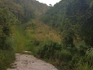 Residential lot For Sale in Red Hills, Kingston / St. Andrew Jamaica | [2]