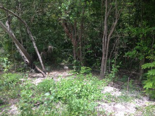 Residential lot For Sale in Negril, Westmoreland Jamaica | [6]