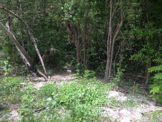 westmoreland negril jamaica propertyadsja