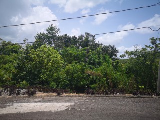 Residential lot For Sale in Mandeville, Manchester, Jamaica