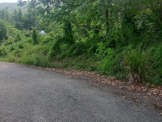 Land For Sale in Porus, Manchester, Jamaica