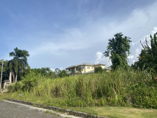 Land For Sale in Tower Isle, St. Mary, Jamaica