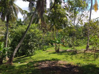 House For Sale in Waterloo, St. Catherine Jamaica | [1]